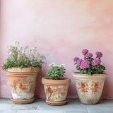 Saint Germain IOD Transfer, 12" x 16" Pad