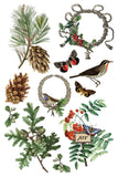 Winter Botanist Transfer