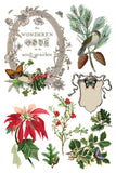 Winter Botanist Transfer