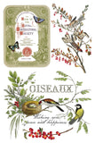 Winter Botanist Transfer