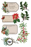 Winter Botanist Transfer