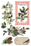 Winter Botanist Transfer