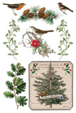 Winter Botanist Transfer