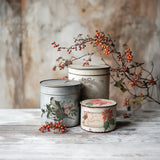Winter Botanist Transfer