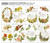 Lover of Flowers Transfer