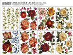 Collage De Fleurs