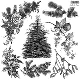 Holly & Pine Stamp Set