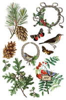 Winter Botanist Transfer