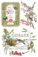 Winter Botanist Transfer