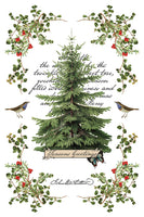 Winter Botanist Transfer