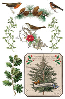 Winter Botanist Transfer