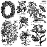 Nature's Etchings IOD Stamp
