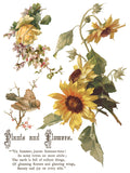 Flowers by The Poets IOD Transfer