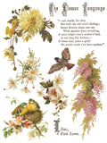 Flowers by The Poets IOD Transfer