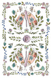 Fern Fables IOD Transfer