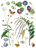 Marche des Fleurs IOD Transfer