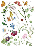 Marche des Fleurs IOD Transfer