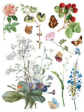Marche des Fleurs IOD Transfer