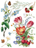 Marche des Fleurs IOD Transfer