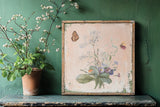 Marche des Fleurs IOD Transfer