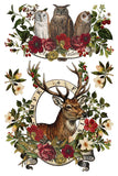Stag Tavern Transfer