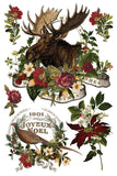 Stag Tavern Transfer