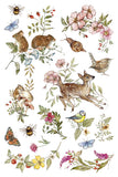 The Bramblewood Diaries IOD Transfer