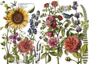 Iron Orchid Designs Midnight Garden | IOD Transfer