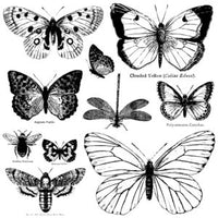 Butterflies