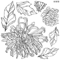 Chrysanthemum Stamp