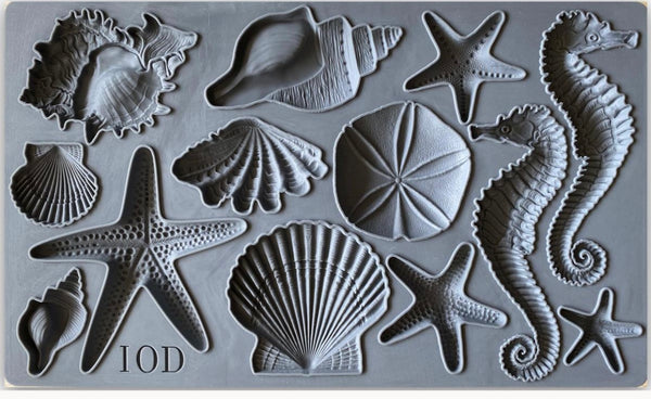 Sea shells Mould