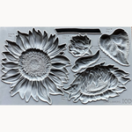 Sunflower Mould